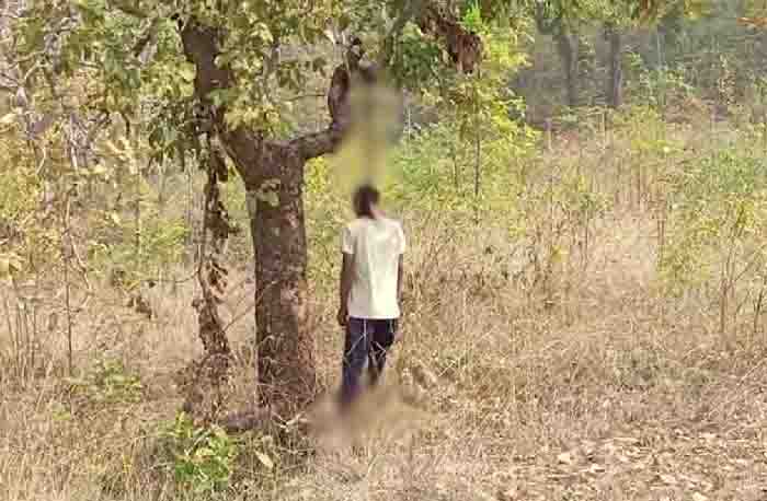 वन विभाग की नर्सरी में युवक ने लगाई फांसी, इलाके में फैली सनसनी