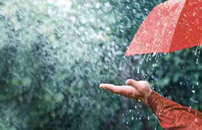 Chhatisgarh Monsoon Update: गर्मी से जल्द मिलेगी राहत… केरल के रास्ते पहुंचा मानसून, छत्तीसगढ़ में इस दिन देगा दस्तक Chhatisgarh Monsoon Update