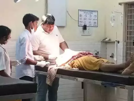 Korba Breaking : 3 भालुओं ने महिला को नोंचा, हालत नाजुक