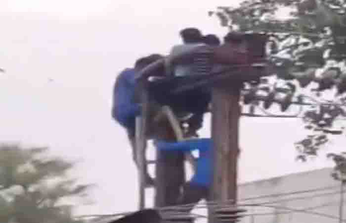 Bilaspur News: लापरवाही! बिना बिजली सप्लाई बंद किए लाइनमैन को खंभे पर चढ़ाया, तार छुते ही झुलसा