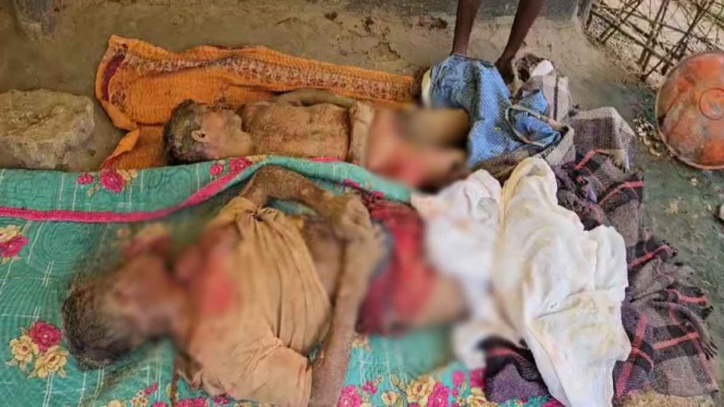 CG Latest News: हाथियों ने घर में सो रहे दो सगे भाइयों को कुचला, हुई मौत