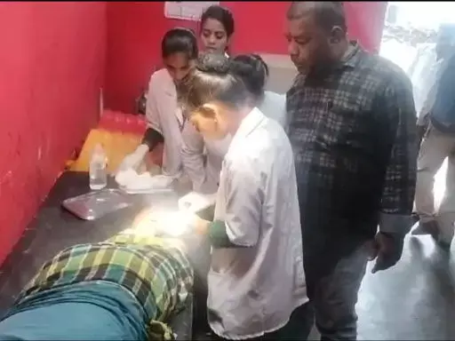 CG Bilaspur Breaking : लोमड़ी ने फिर 4 लोगों को किया घायल, इलाके में दहशत