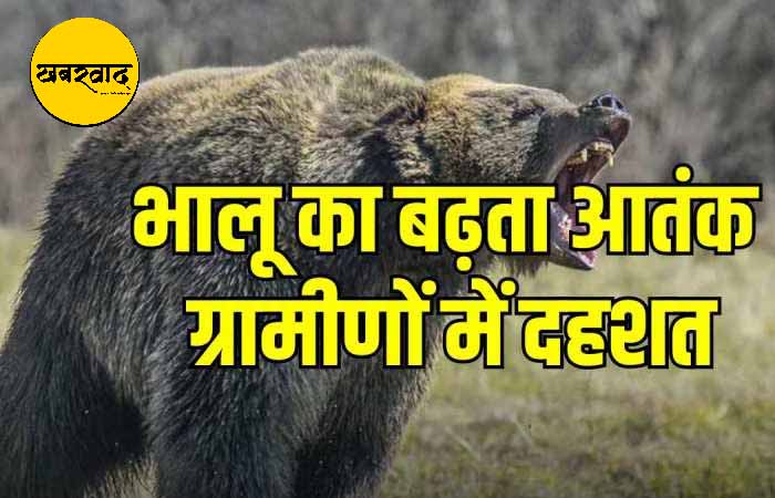 नहीं थम रहे भालुओं के हमले, खेत पर काम कर रहे युवक पर हमला, हालत गंभीर… ग्रामीणों में दहशत GPM News