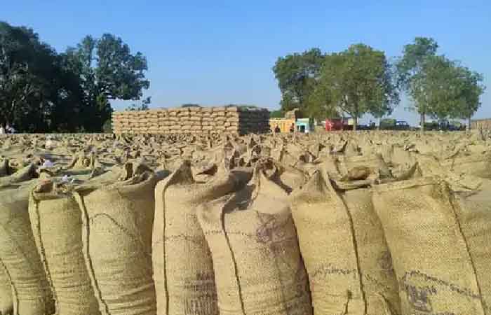 DURG: सहकारी समिति के गोदाम से 80 बोरा धान चोरी, मामला दर्ज Durg Crime