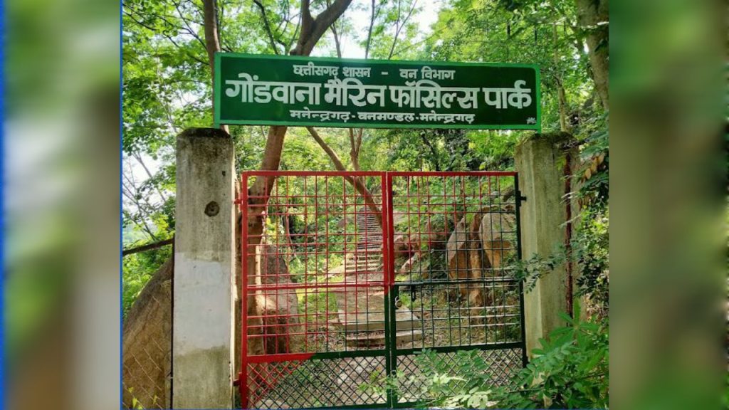 छत्तीसगढ़ का अनमोल खजाना, 293 मिलियन साल पुराने समुद्री जीवाश्मों का राज़ खोलता गोंडवाना मरीन फॉसिल पार्क