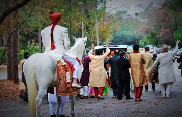 CG News: बारात लेकर आधे रास्ते पहुंचा दूल्हा, इधर दुल्हन ने कर दिया ये कांड, जानें पूरा मामला Chhattisgarh News