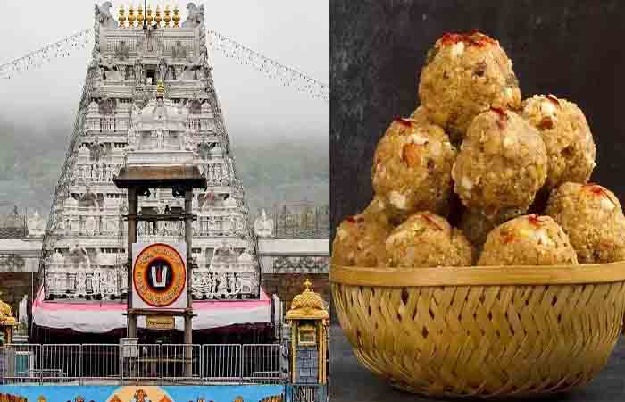 तिरुपति मंदिर लड्डू विवाद: CBI की अगुआई में बनी SIT ने 4 लोगों को पकड़ा, टेंडर देने के साथ ही शुरू हो गई थी गड़बड़ी Tirupati Temple Laddu Controversy