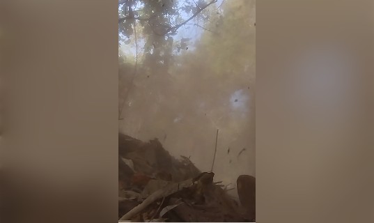 नक्सलियों की साजिश नाकाम : 3 किग्रा का IED किया निष्क्रिय, जवानों को पहुंचाना चाहते थे नुकसान