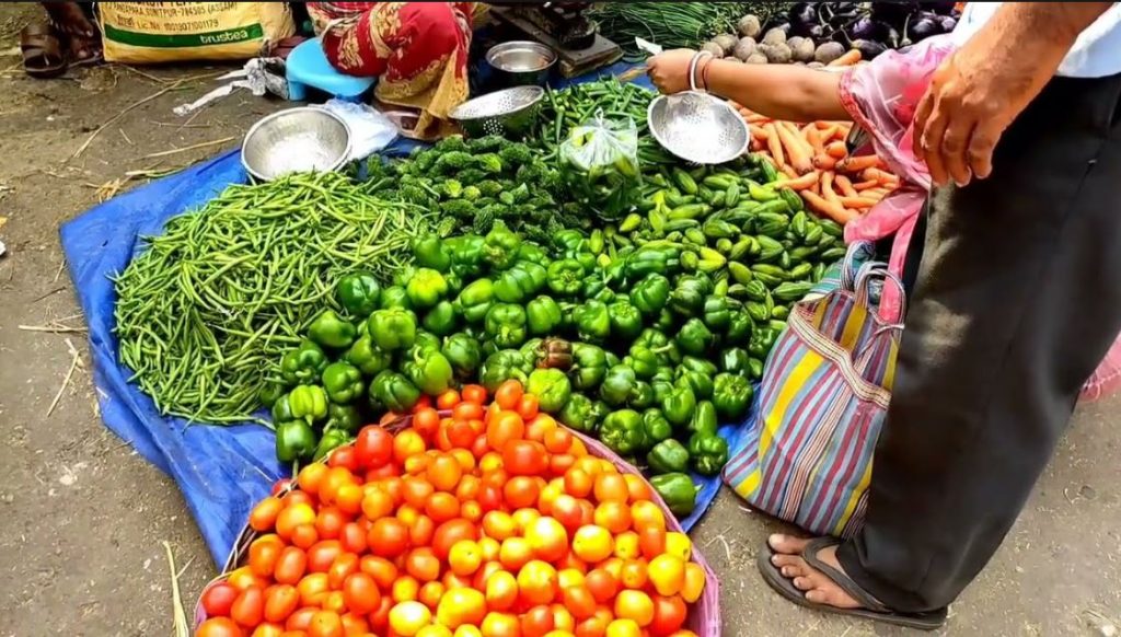 नगर निगम का अभियान, सिंगल यूज़ प्लास्टिक पर कार्रवाई, दुकानदारों को दी गई समझाईश