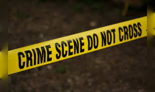 हत्या का सनसनीखेज मामला : पति ने पत्नी पर पाइप से किया ताबड़तोड़ वार, बच्चे को नहलाने को लेकर हुआ विवाद