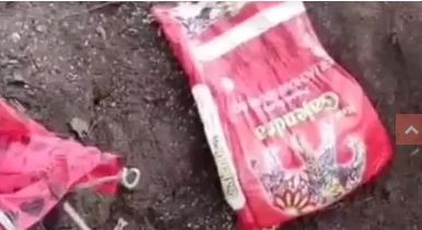 तौरेगा जंगल में नक्सलियों के राशन डंप पर सुरक्षाबलों की बड़ी कार्रवाई, भारी मात्रा में सामान बरामद