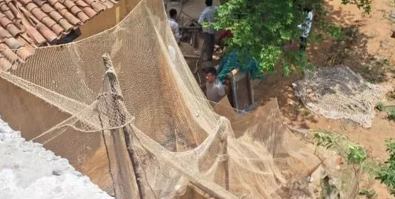 तेंदुए ने गाँव में फैलाई सनसनी, हमले से एक युवक गंभीर रूप से घायल