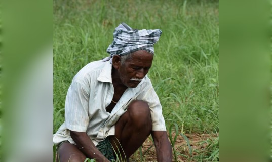जल्द आ सकती है पीएम किसान सम्मान निधि की 20वीं किस्त, लिस्ट में ऐसे चेक करें अपना नाम