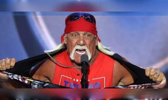 कुश्ती के दिग्गज हल्क होगन का 71 साल की उम्र में निधन, WWE ने दी श्रद्धांजलि