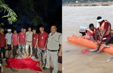 दुर्ग: शिवनाथ नदी में दो दिनों में दो युवकों की डूबने से मौत, SDRF ने बरामद किए शव