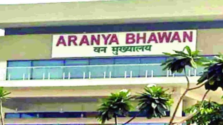 2024 बैच के IFS प्रशिक्षु अधिकारियों की फील्ड ट्रेनिंग, वन विभाग ने जारी किए पदस्थापना आदेश
